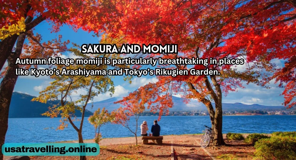 sakura and momiji