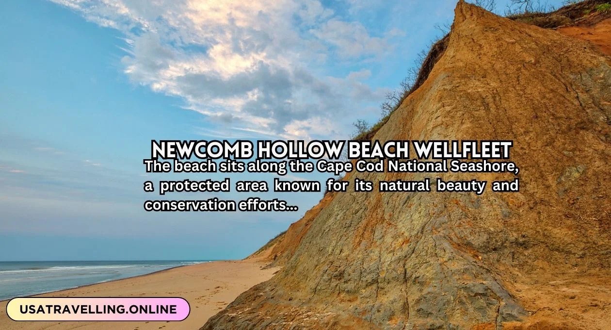 newcomb hollow beach wellfleet